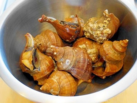 つぶ貝の下処理&茹で方&唾液腺の取り除き方